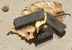 Speicherchips